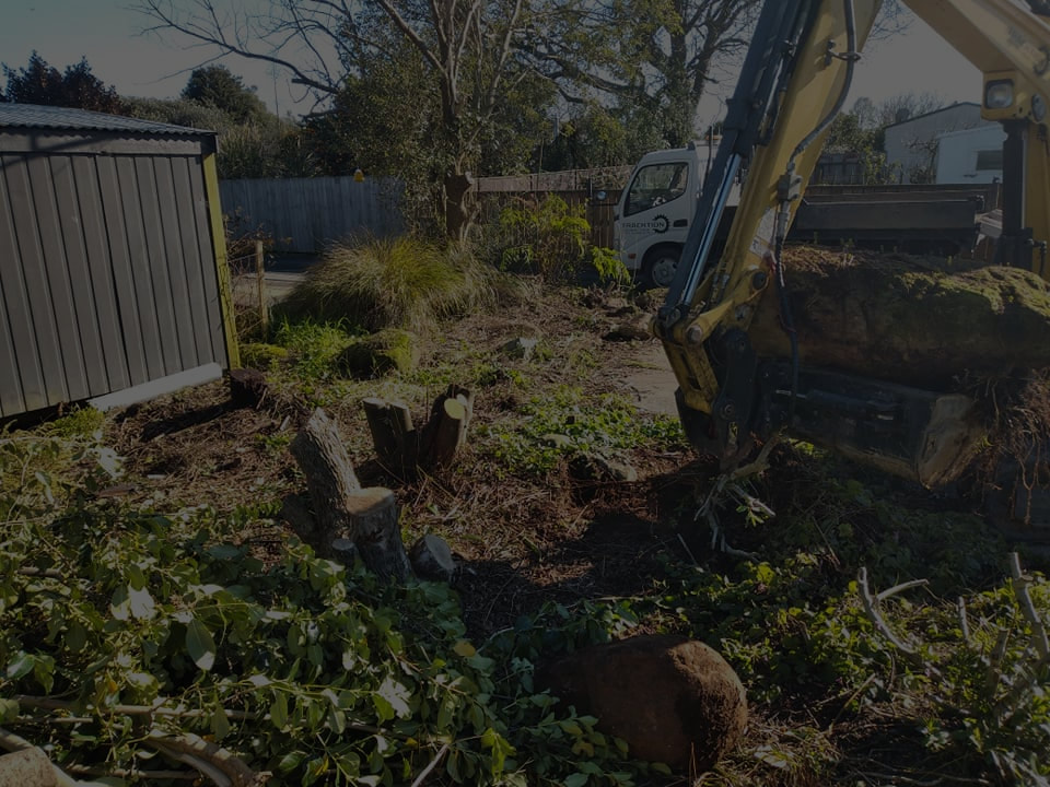 Section clearance — vegetation and stumps removed