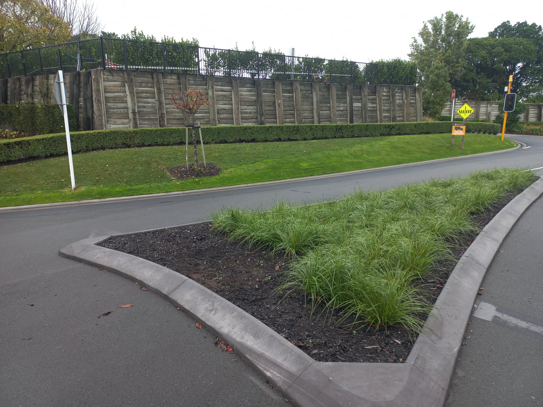 Hydroseeding — Tracktion Earthworks project