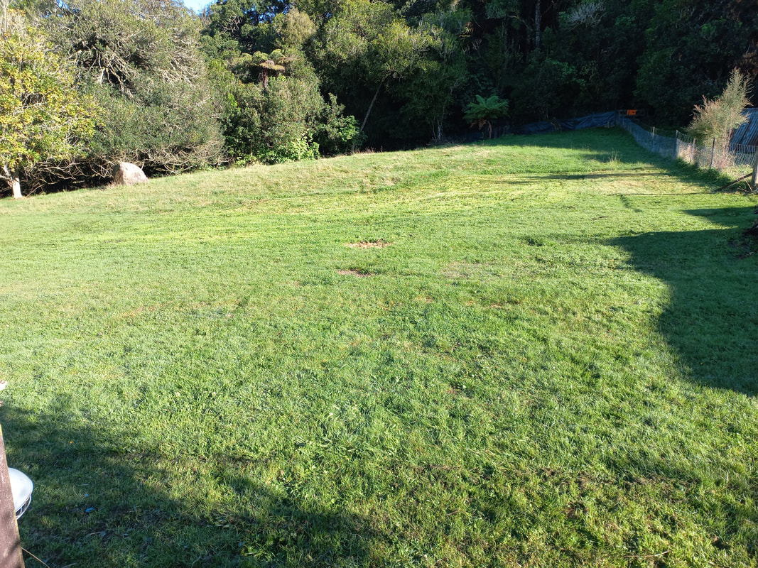 Ground preparation for a new lawn area